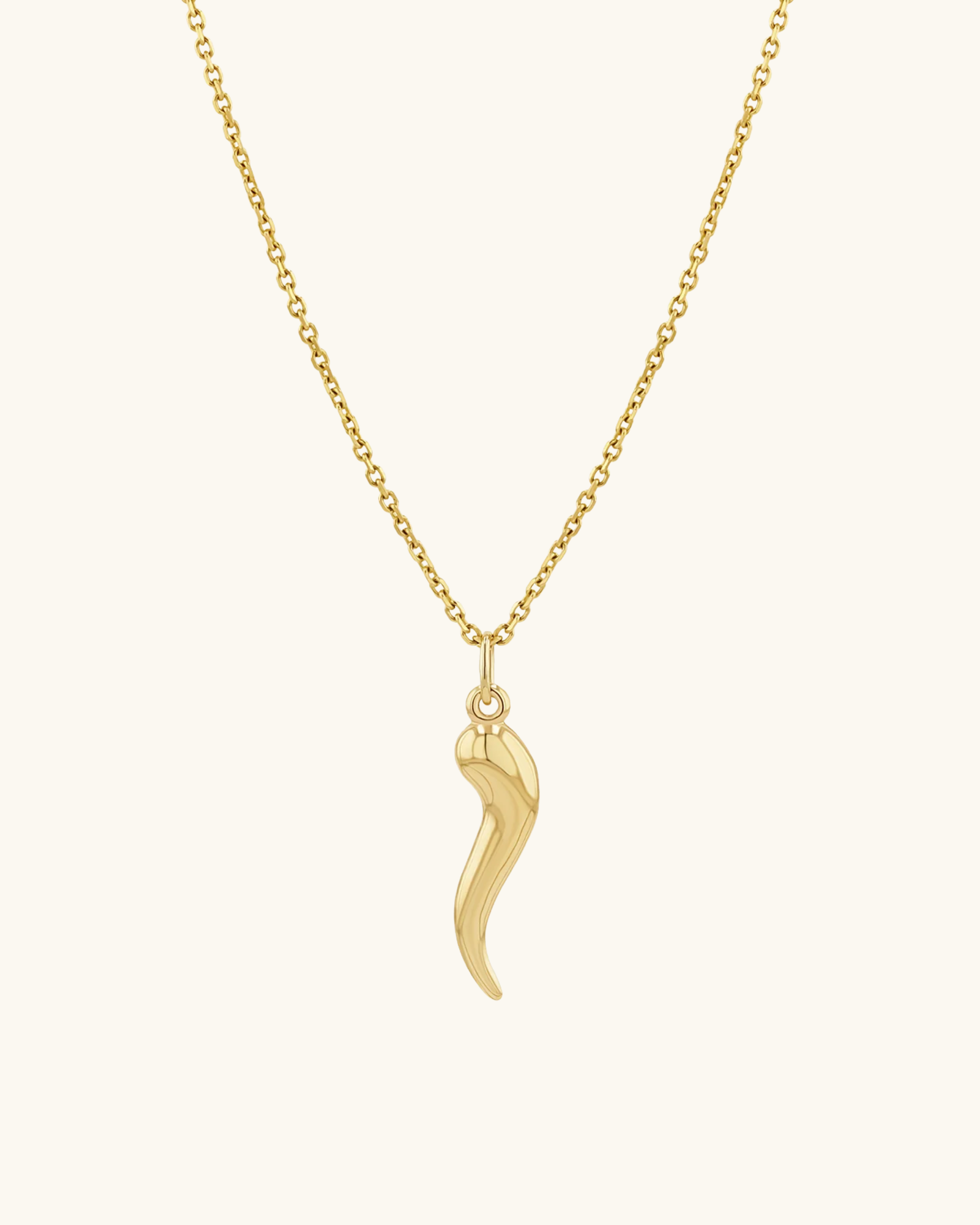 14K Gold Italian Horn Necklace