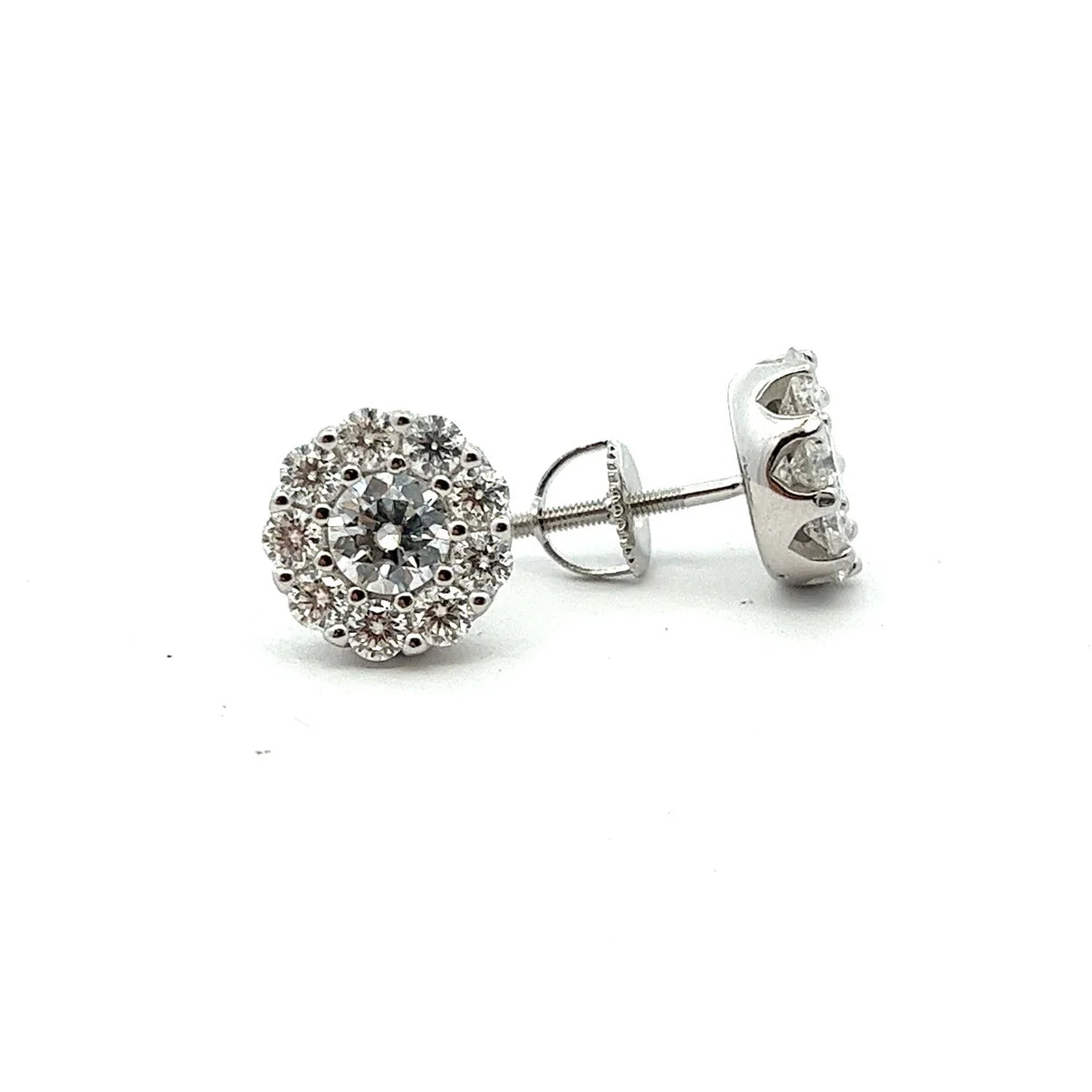 Spark Circle Moissanite Earring